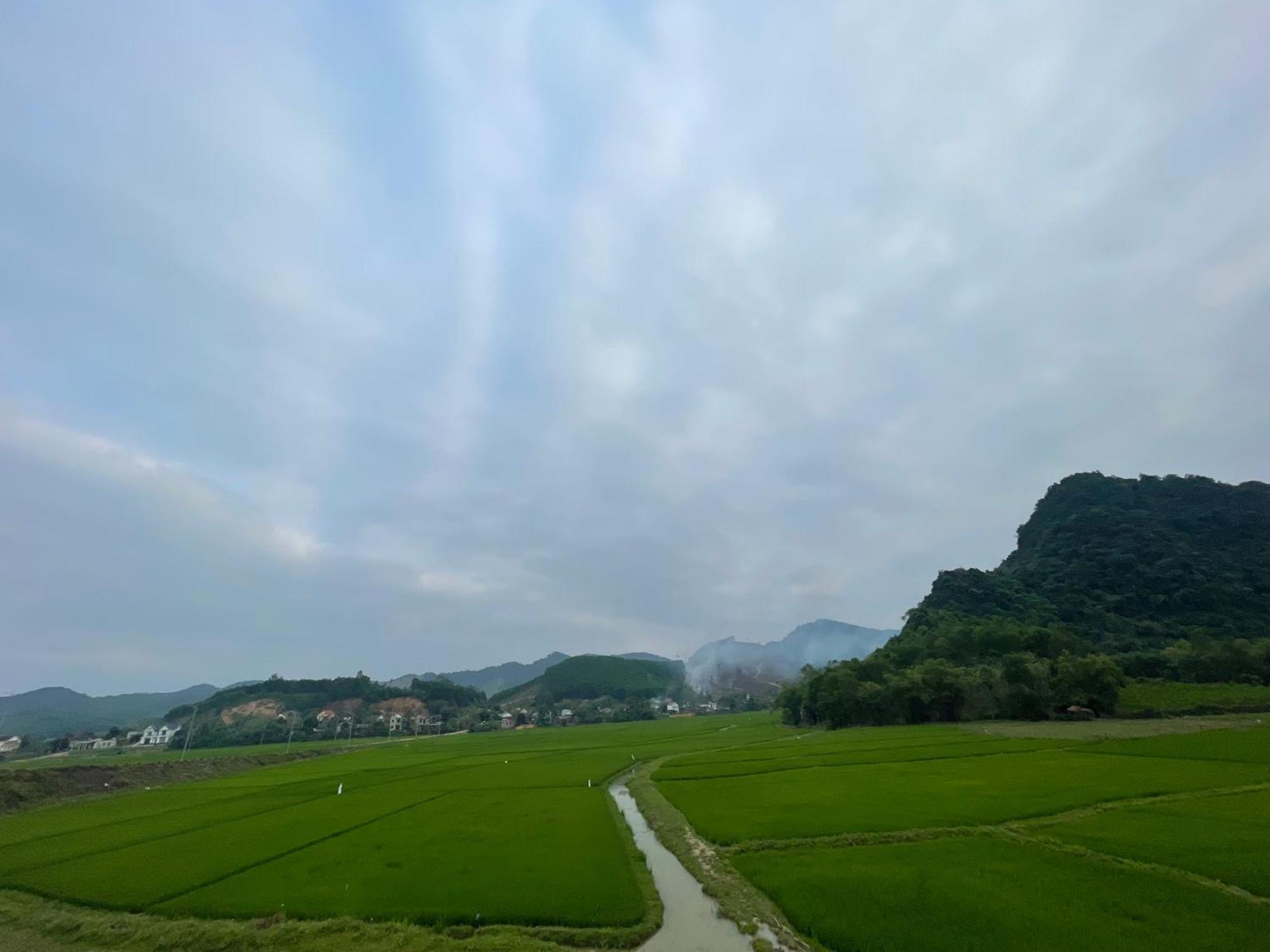 Cornflower Homestay Phong Nha Exterior photo