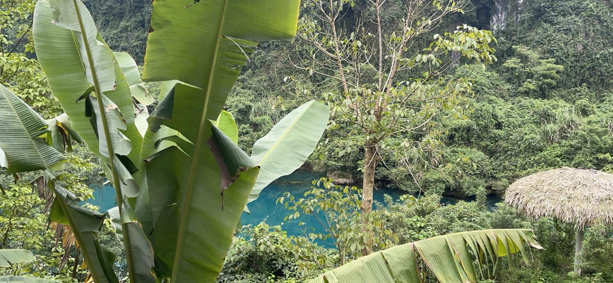 Cornflower Homestay Phong Nha Exterior photo